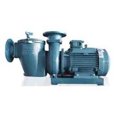 C-SE POOL PUMP